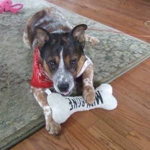 Meet your Posher, Mary